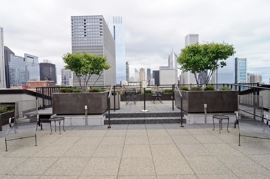 310 S Michigan Avenue #1111 Chicago, Illinois 60604 - Image 11