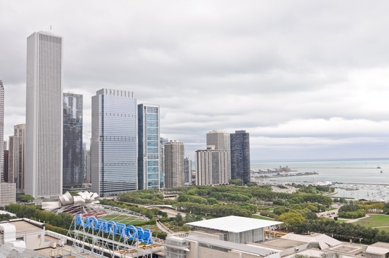 310 S Michigan Avenue #1111 Chicago, Illinois 60604 - Image 12