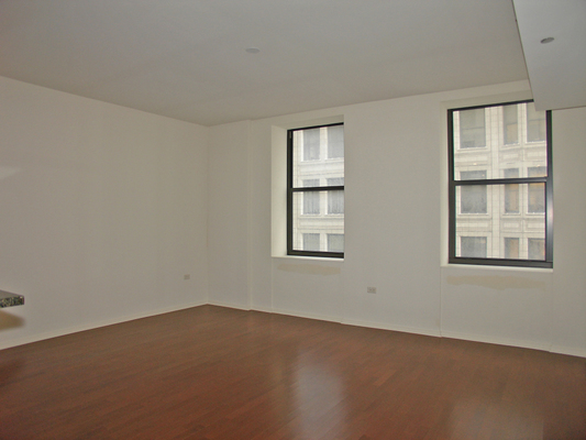 310 S Michigan Avenue #1111 Chicago, Illinois 60604 - Image 8