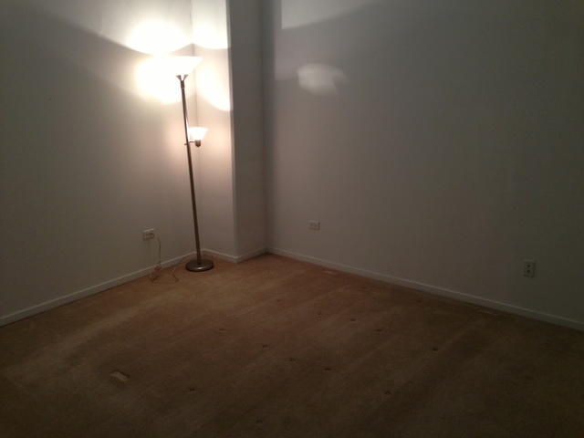 212 E Cullerton Street #707 Chicago, Illinois 60616 - Image 5