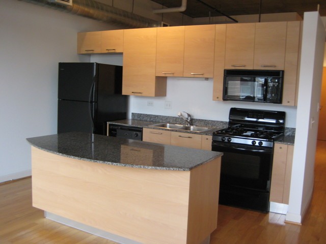 111 S Morgan Street #812 Chicago, Illinois 60607 - Image 2