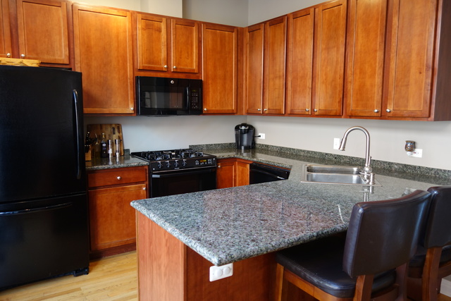310 N Clinton Street #D Chicago, Illinois 60661 - Image 14