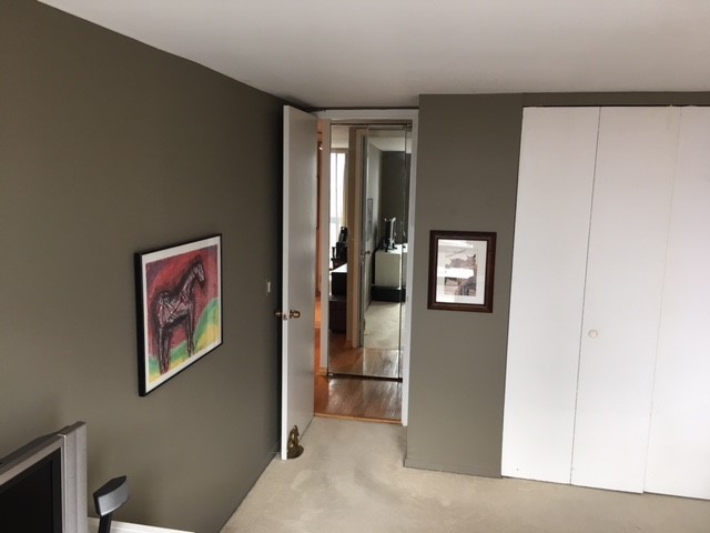 1660 N Lasalle Drive #1908 Chicago, Illinois 60614 - Image 11