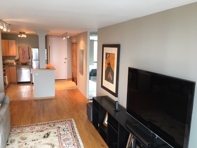 1660 N Lasalle Drive #1908 Chicago, Illinois 60614 - Image 6