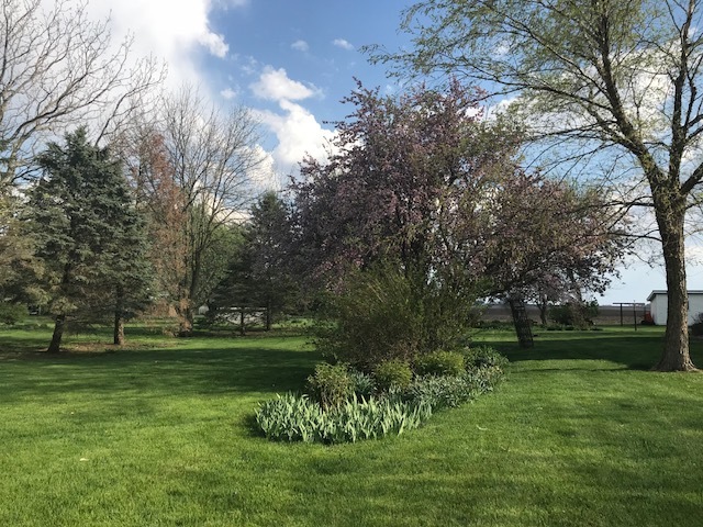 210 W South Street Bellflower, Illinois 61724 - Image 104