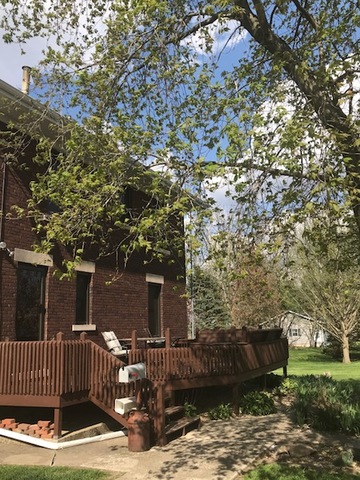 210 W South Street Bellflower, Illinois 61724 - Image 87