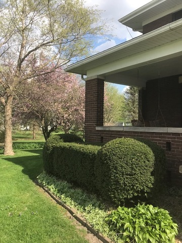 210 W South Street Bellflower, Illinois 61724 - Image 91