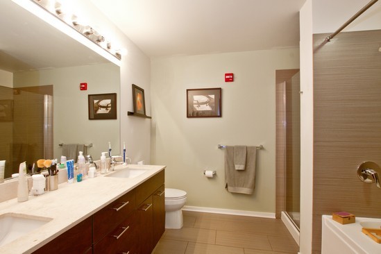 659 W Randolph Street #1016 Chicago, Illinois 60661 - Image 9