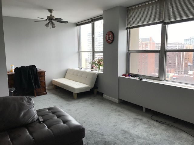 655 W Irving Park Road #1515 Chicago, Illinois 60613 - Image 4