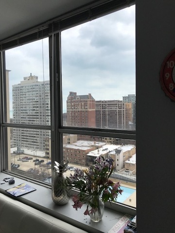 655 W Irving Park Road #1515 Chicago, Illinois 60613 - Image 7