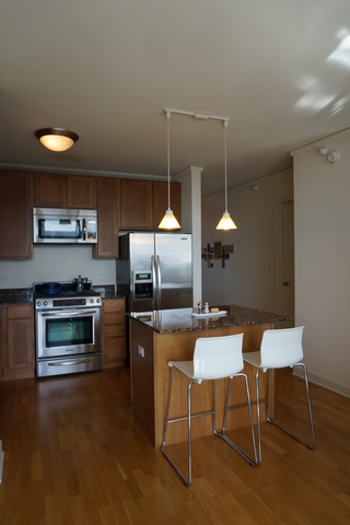 225 N Columbus Drive #7309 Chicago, Illinois 60601 - Image 10