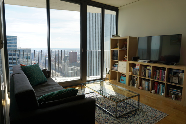 225 N Columbus Drive #7309 Chicago, Illinois 60601 - Image 11