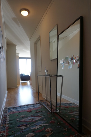 225 N Columbus Drive #7309 Chicago, Illinois 60601 - Image 3