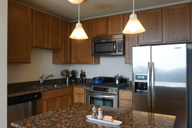 225 N Columbus Drive #7309 Chicago, Illinois 60601 - Image 7