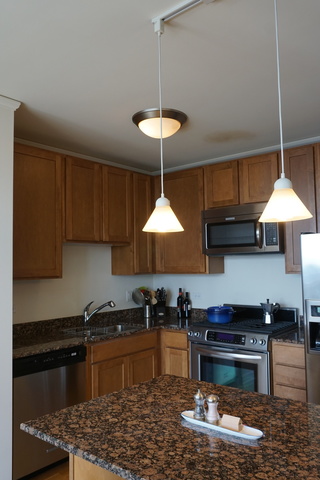 225 N Columbus Drive #7309 Chicago, Illinois 60601 - Image 8