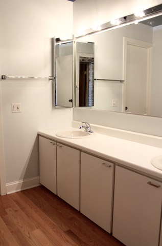 540 N Lake Shore Drive #720 Chicago, Illinois 60611 - Image 12
