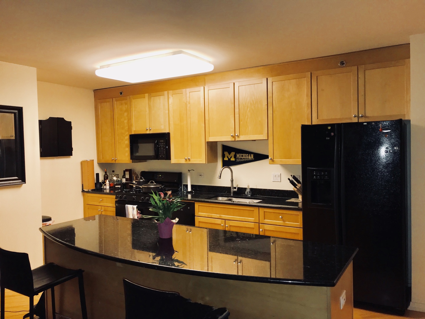 33 W Ontario Street #21G Chicago, Illinois 60654 - Image 10