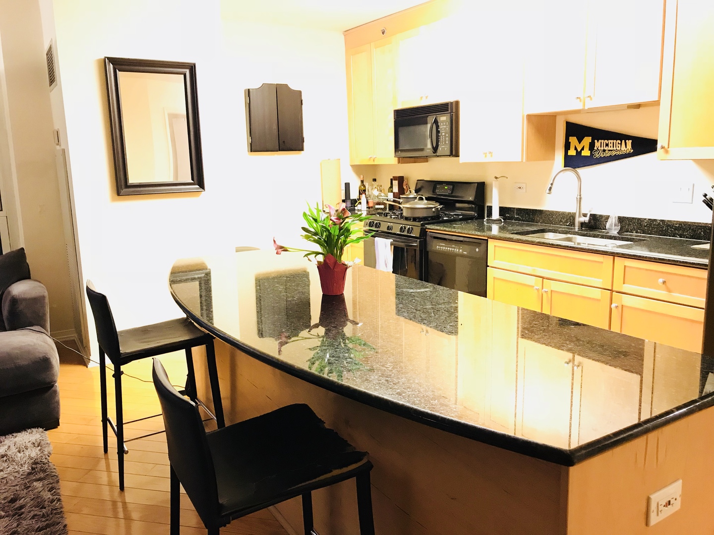 33 W Ontario Street #21G Chicago, Illinois 60654 - Image 11