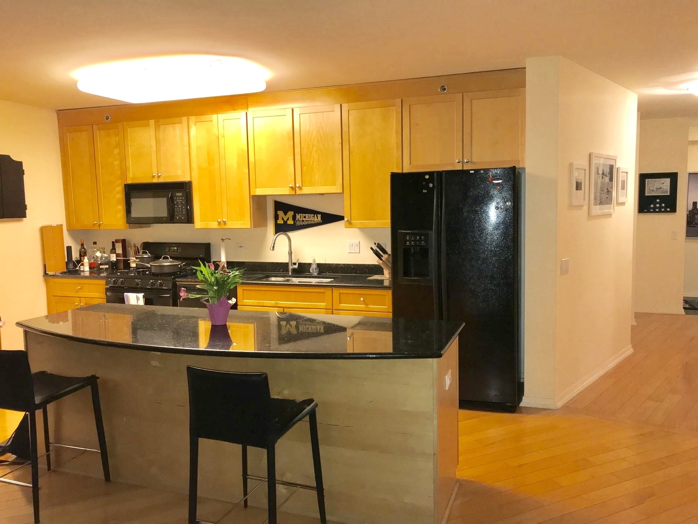 33 W Ontario Street #21G Chicago, Illinois 60654 - Image 4