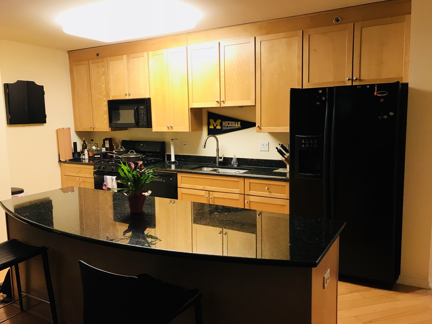 33 W Ontario Street #21G Chicago, Illinois 60654 - Image 5