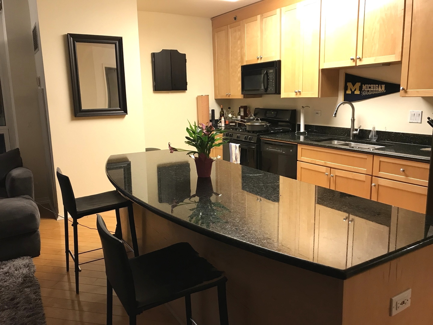 33 W Ontario Street #21G Chicago, Illinois 60654 - Image 8