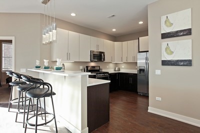 2008 N Whipple Street #207 Chicago, Illinois 60647 - Image 3