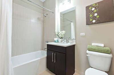 2008 N Whipple Street #207 Chicago, Illinois 60647 - Image 8