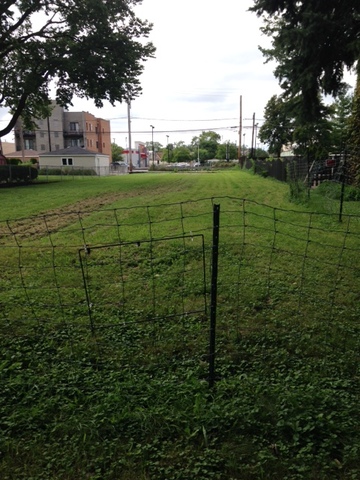 1846 N Neva Avenue Chicago, Illinois 60707 - Image 1