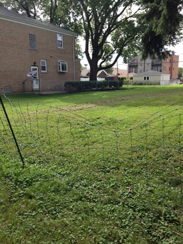 1846 N Neva Avenue Chicago, Illinois 60707 - Image 3