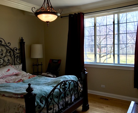 2436 Palazzo Court Buffalo Grove, Illinois 60089 - Image 11