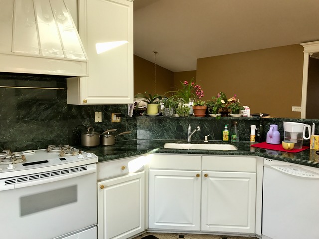 2436 Palazzo Court Buffalo Grove, Illinois 60089 - Image 6