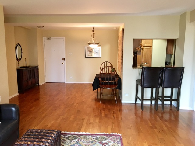 2909 N Sheridan Road #1102 Chicago, Illinois 60657 - Image 4