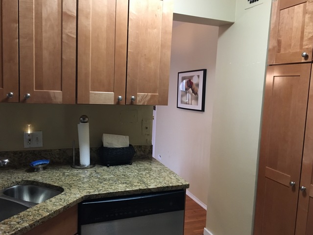 2909 N Sheridan Road #1102 Chicago, Illinois 60657 - Image 7