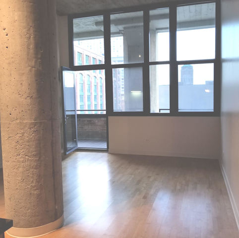 320 E 21st Street #413 Chicago, Illinois 60608 - Image 10