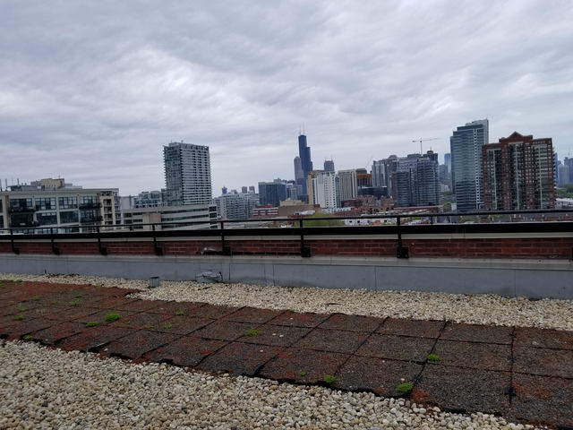 320 E 21st Street #413 Chicago, Illinois 60608 - Image 24