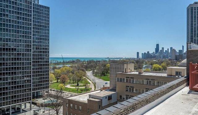 425 W Surf Street #804 Chicago, Illinois 60657 - Image 19