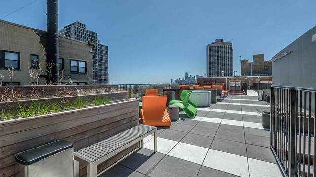 425 W Surf Street #804 Chicago, Illinois 60657 - Image 20