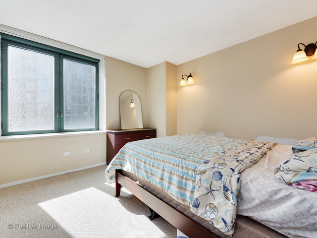 480 N Mcclurg Court #1120 Chicago, Illinois 60611 - Image 13