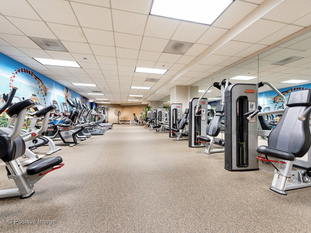 480 N Mcclurg Court #1120 Chicago, Illinois 60611 - Image 19