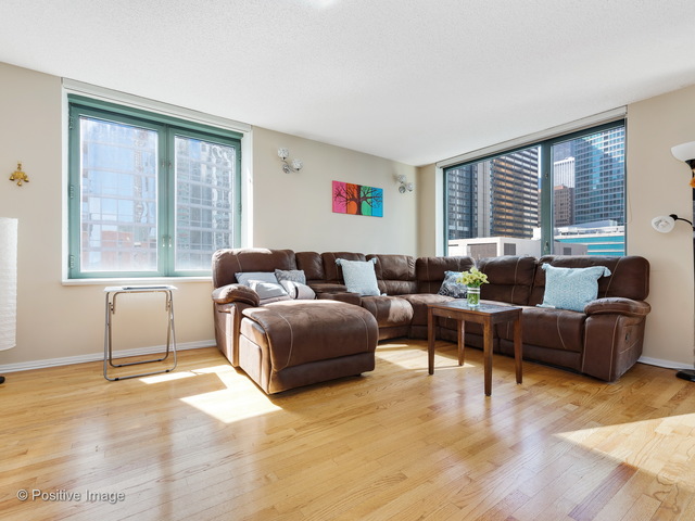 480 N Mcclurg Court #1120 Chicago, Illinois 60611 - Image 2