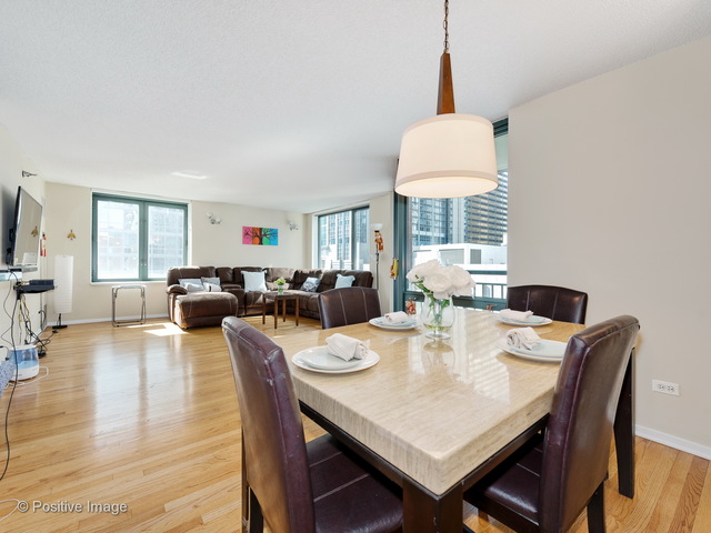 480 N Mcclurg Court #1120 Chicago, Illinois 60611 - Image 5