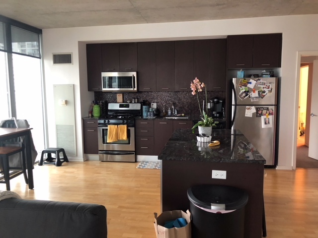 659 W Randolph Street #1020 Chicago, Illinois 60661 - Image 4