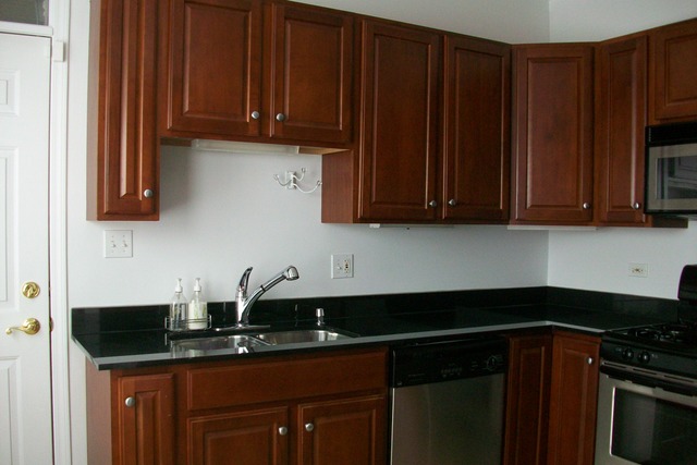 2831 N Woodard Street #1N Chicago, Illinois 60618 - Image 2