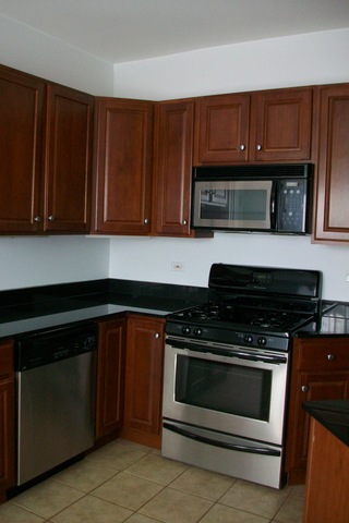 2831 N Woodard Street #1N Chicago, Illinois 60618 - Image 8