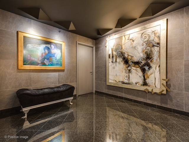 161 E Chicago Avenue #53F Chicago, Illinois 60611 - Image 16