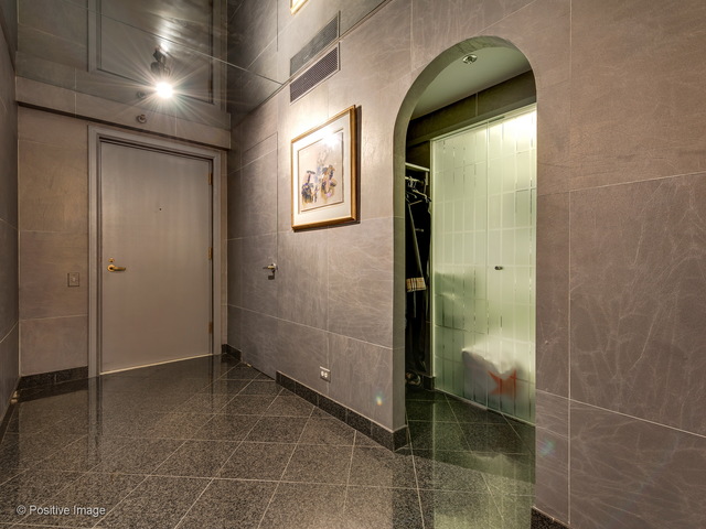 161 E Chicago Avenue #53F Chicago, Illinois 60611 - Image 18