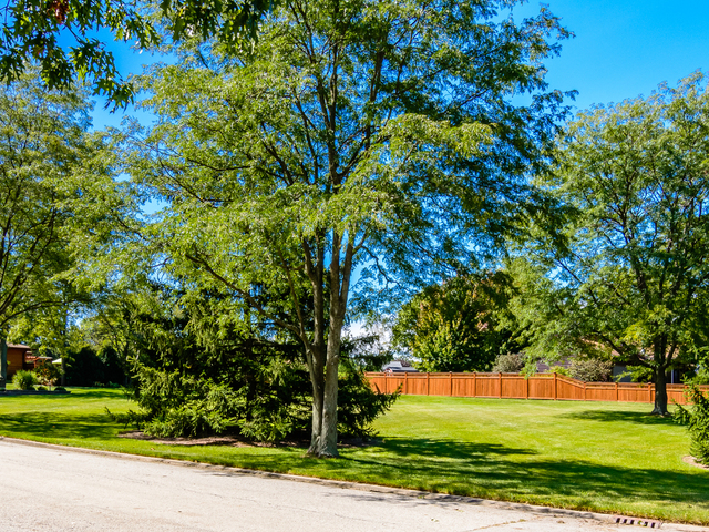 19710 W Tanglewood Drive East Elwood, Illinois 60421 - Image 53