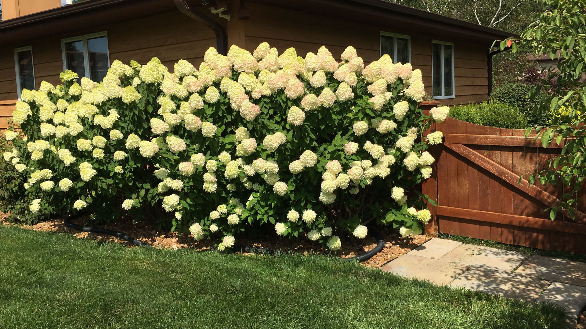 19710 W Tanglewood Drive East Elwood, Illinois 60421 - Image 76