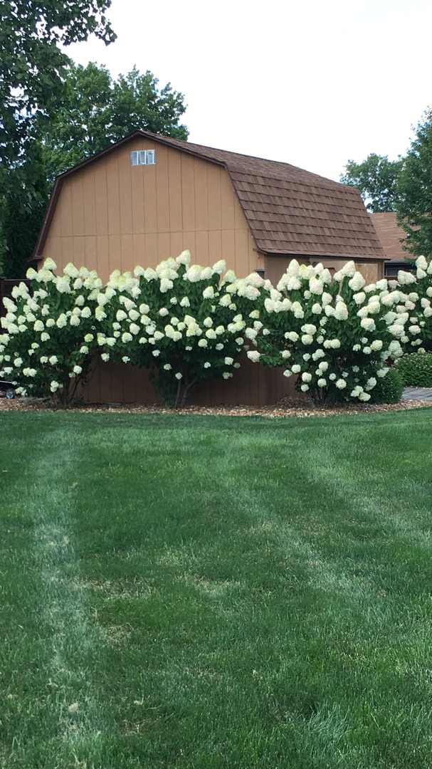 19710 W Tanglewood Drive East Elwood, Illinois 60421 - Image 78
