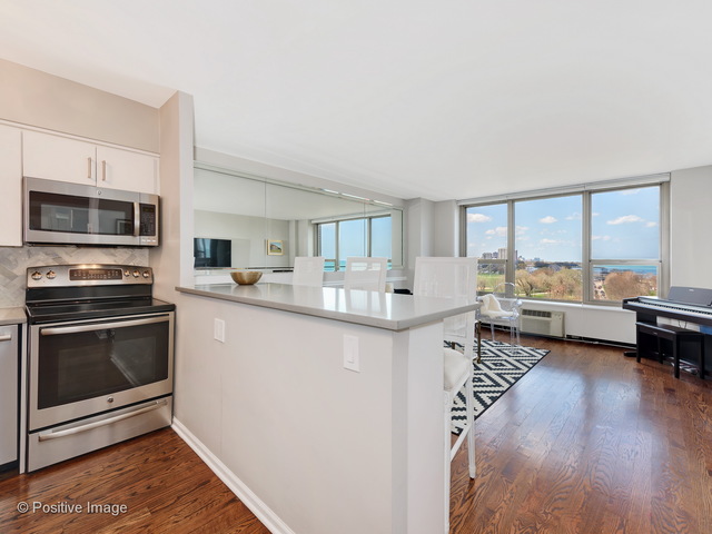 1550 N Lake Shore Drive #7E Chicago, Illinois 60610 - Image 9